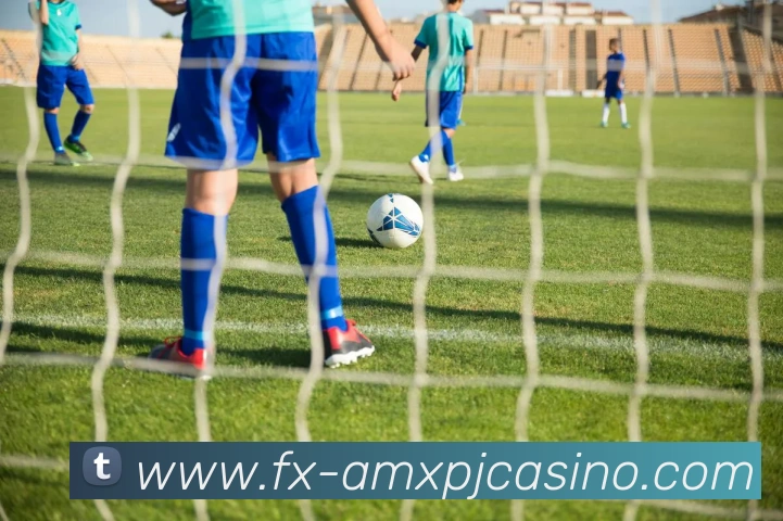 澳门新葡京娱乐平台生态图