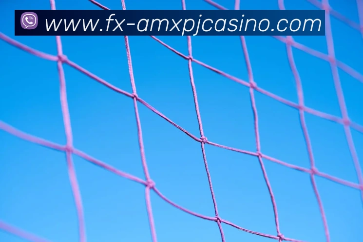 澳门新葡京娱乐APP 封面图